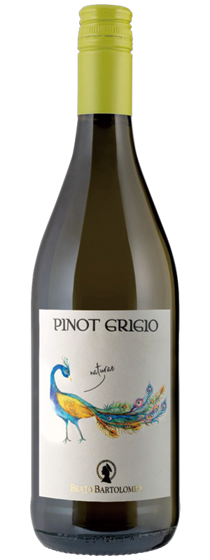 Pinot Grigio Dele Venezie DOC PAVONE 白葡萄酒